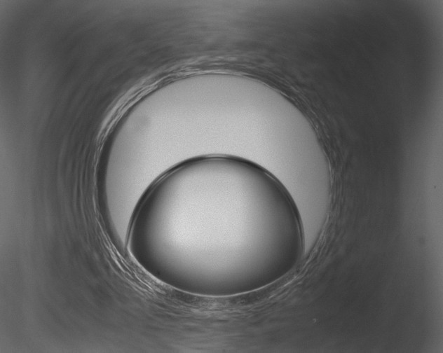 X0000085810293200703161036
