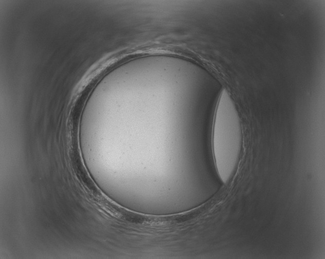 X0000085810295200703161036