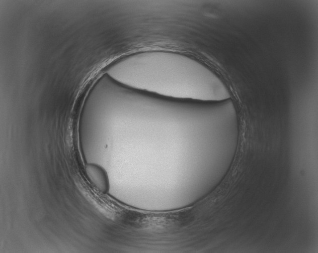 X0000085810298200703161036