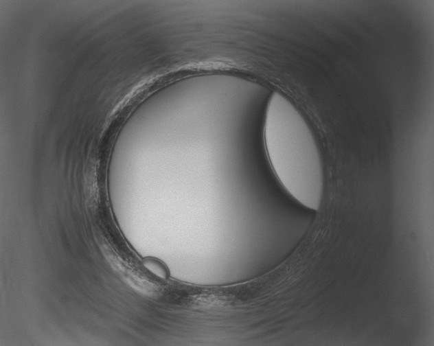 X0000085810300200703161036