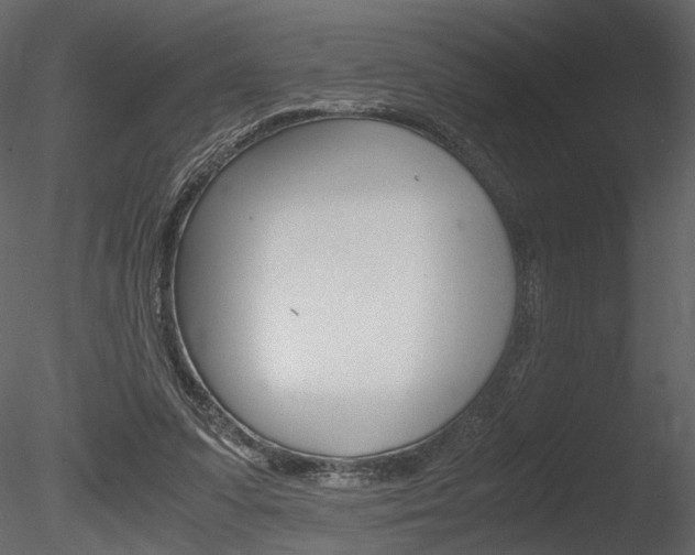 X0000085810303200703161036
