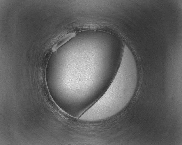 X0000085810305200703161036