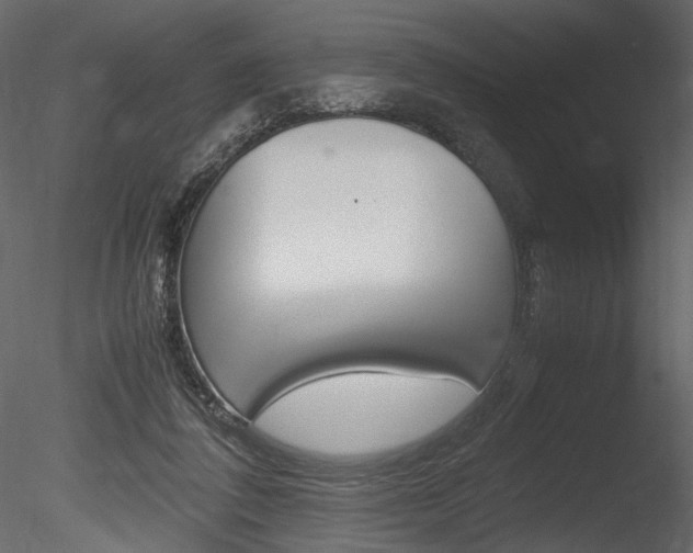 X0000085810308200703161036