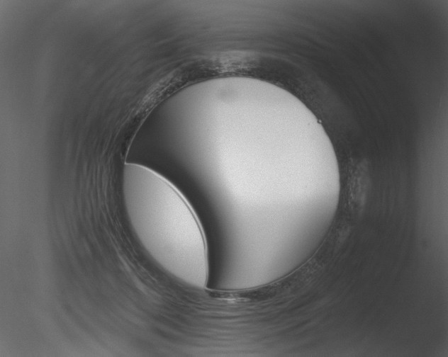 X0000085810316200703161036
