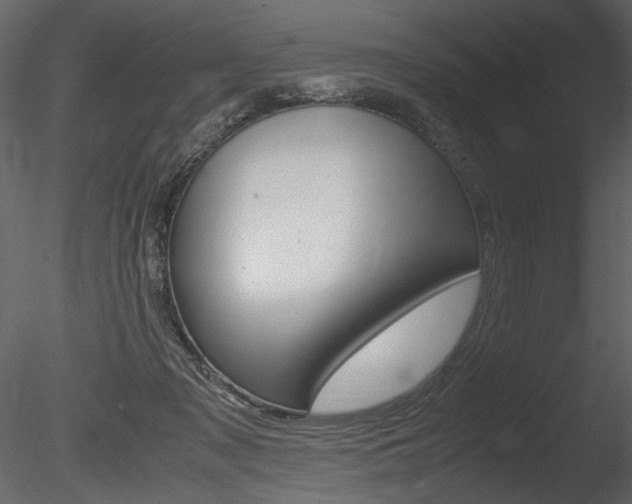 X0000085810317200703161036