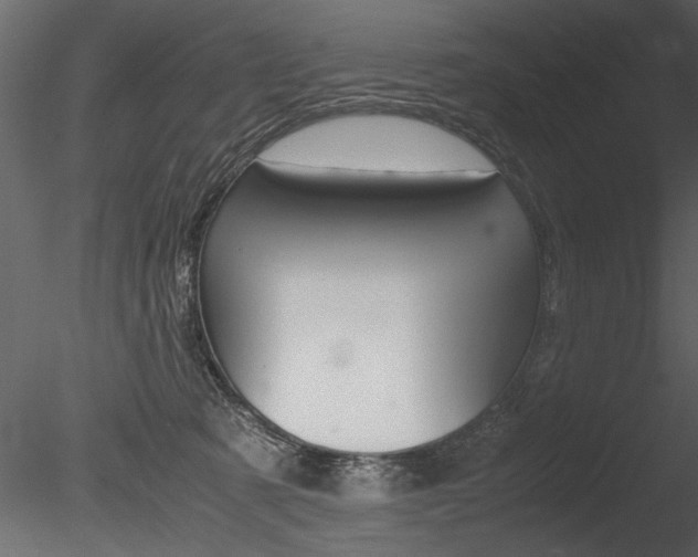 X0000085810321200703161036