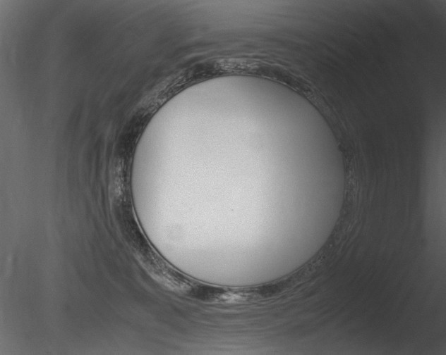 X0000085810323200703161036