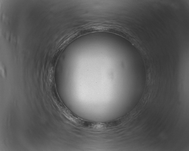 X0000085810325200703161036