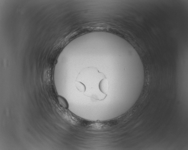 X0000085810326200703161036