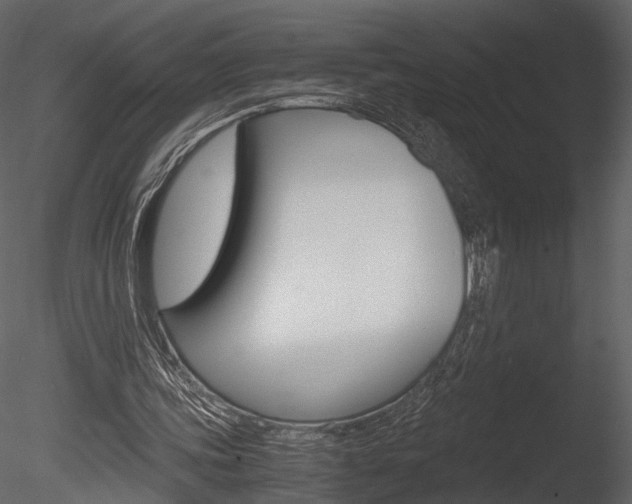 X0000085810339200703161035