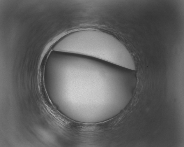 X0000085810342200703161035