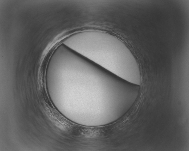 X0000085810343200703161035