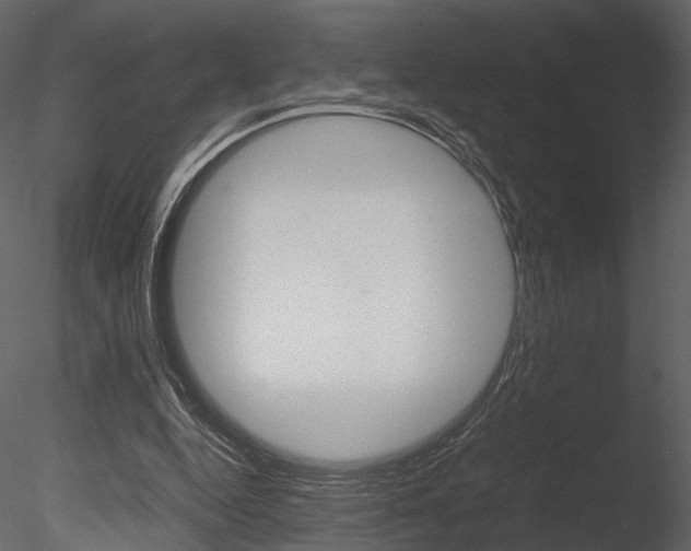 X0000085810344200703161035