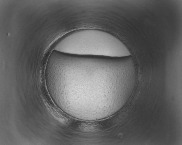 X0000085810351200703161035