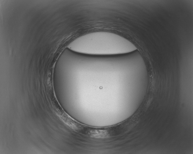 X0000085810361200703161035
