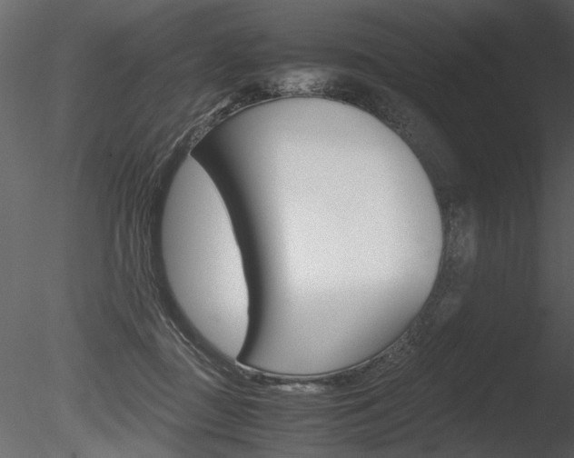 X0000085810363200703161035