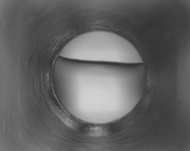 X0000085810365200703161035