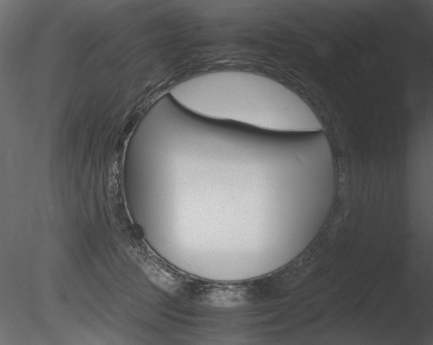 X0000085810369200703161035