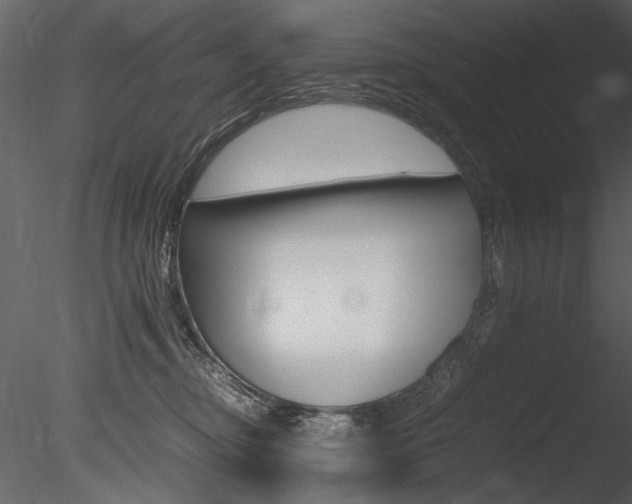 X0000085810374200703161035