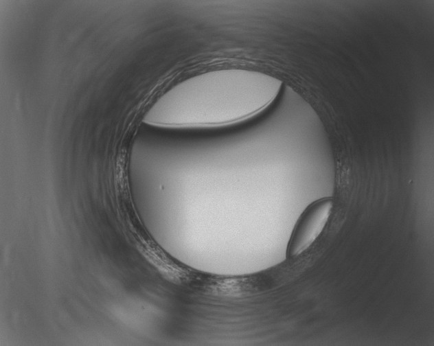 X0000085810382200703161035