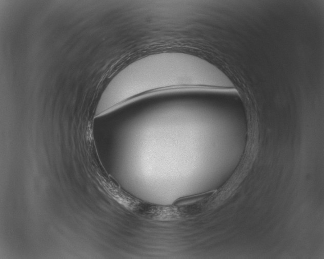 X0000085810384200703161035