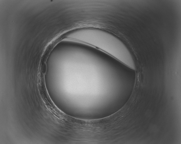 X0000085810388200703161034