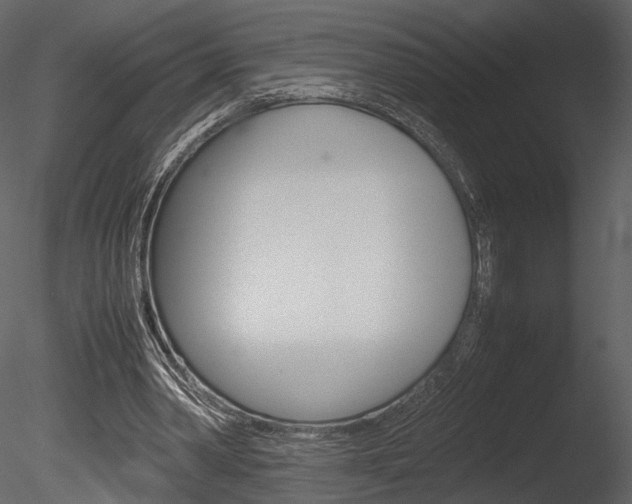 X0000085810390200703161034