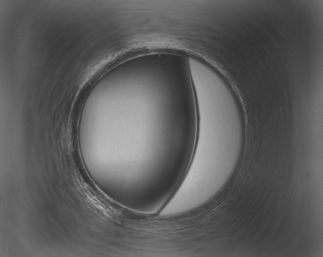 X0000085810391200703161034