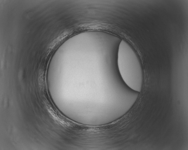 X0000085810394200703161034