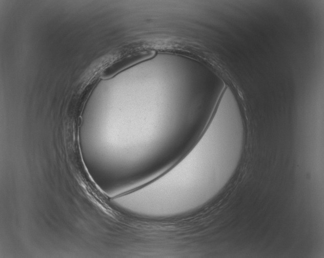 X0000085810397200703161034