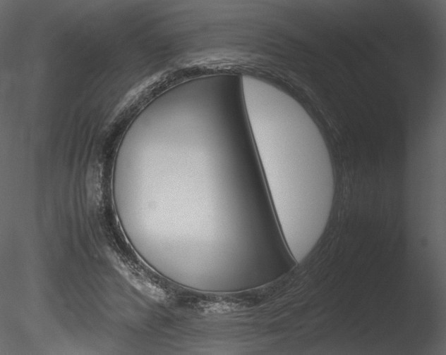 X0000085810400200703161034