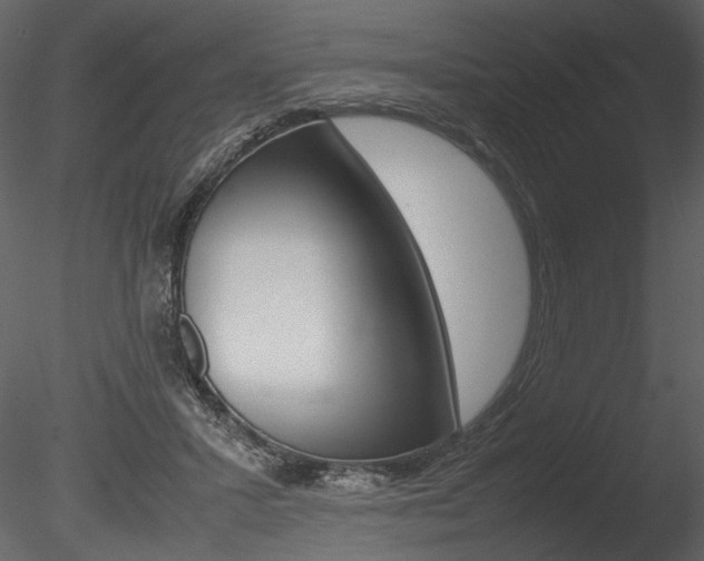 X0000085810407200703161034