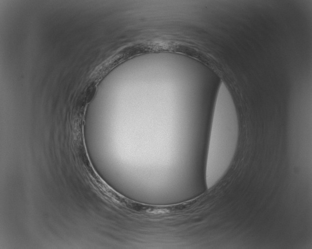 X0000085810409200703161034