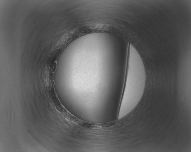 X0000085810416200703161034