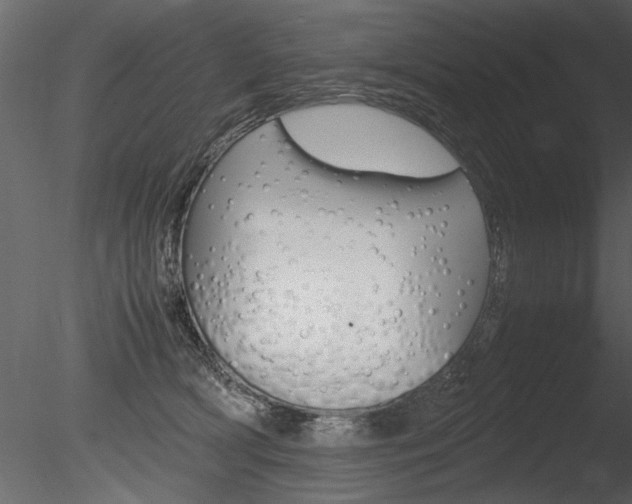X0000085810418200703161034