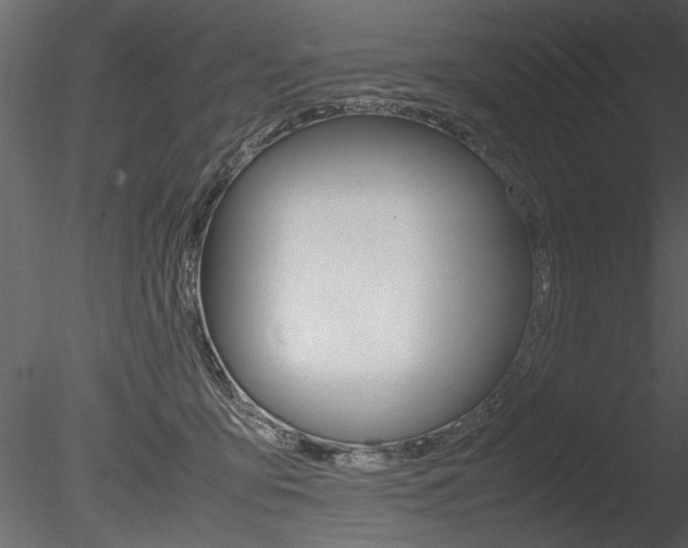 X0000085810419200703161034