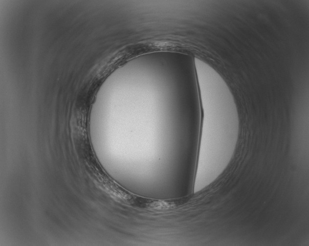 X0000085810421200703161034