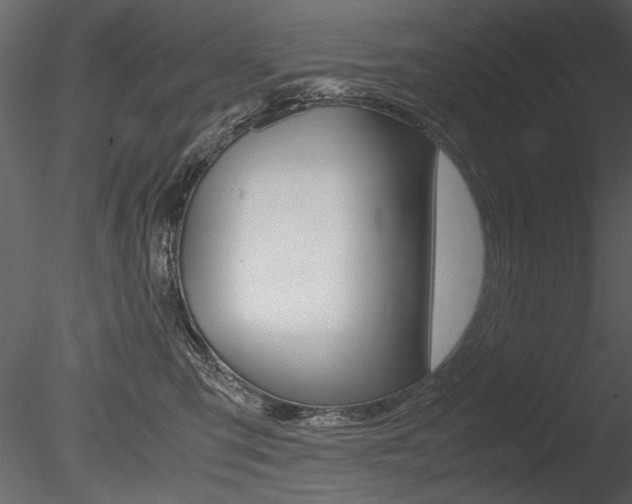 X0000085810423200703161034