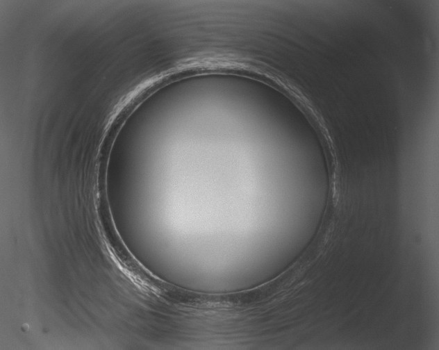 X0000085810438200703161033