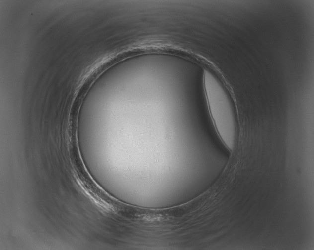 X0000085810439200703161033