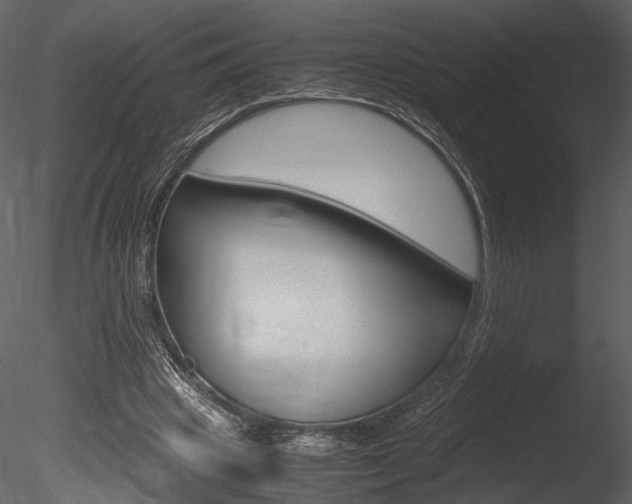 X0000085810441200703161033