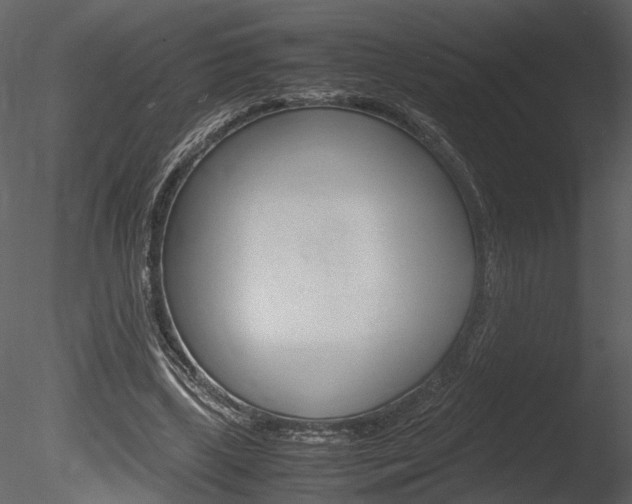 X0000085810443200703161033