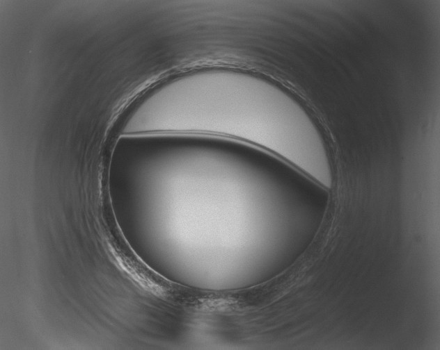 X0000085810446200703161033