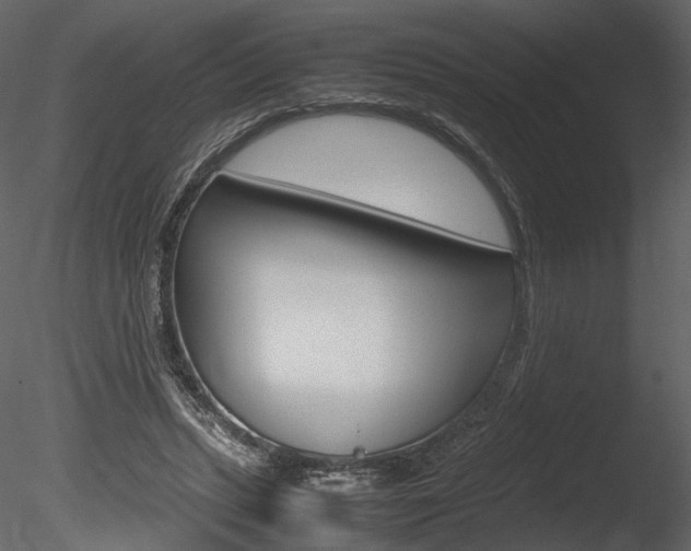 X0000085810447200703161033
