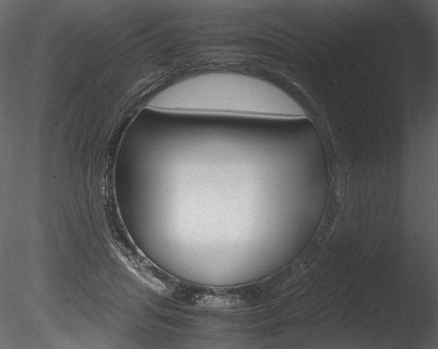 X0000085810455200703161033