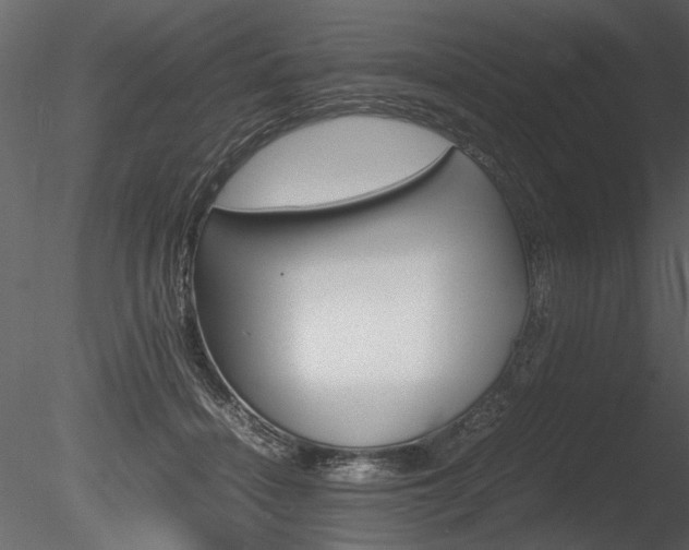 X0000085810460200703161033