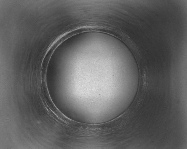 X0000085810484200703161033