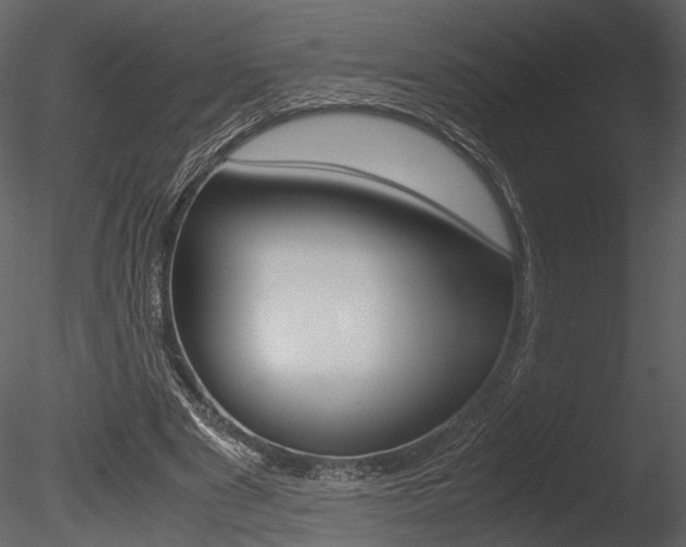 X0000085810489200703161033
