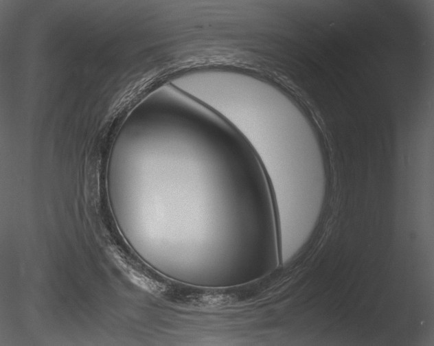 X0000085810493200703161033
