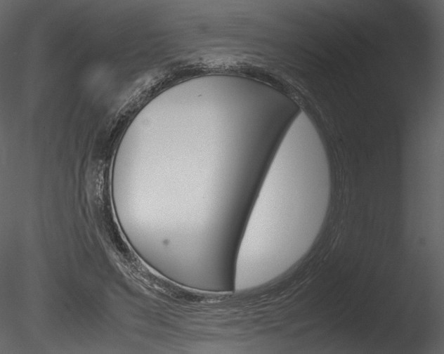 X0000085810495200703161033